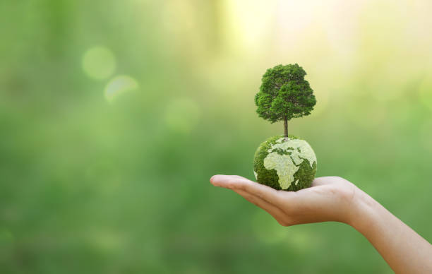 Environmental Responsibility